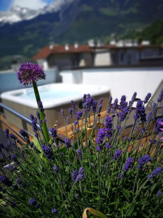 Guesthouse Suiteseven Merano Exterior photo
